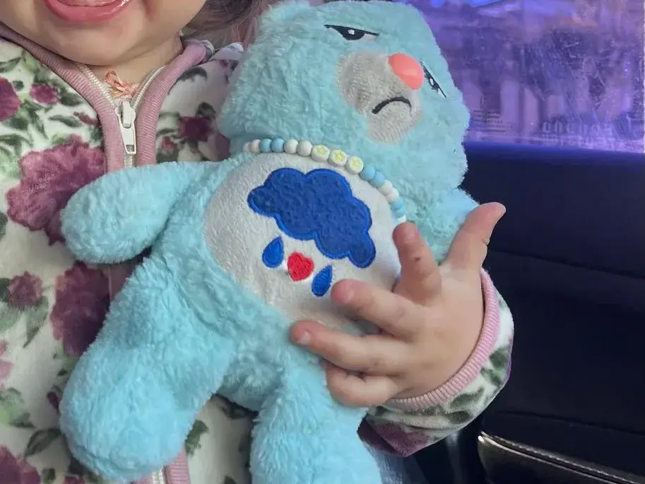 Buscan peluche perdido en la vía pública