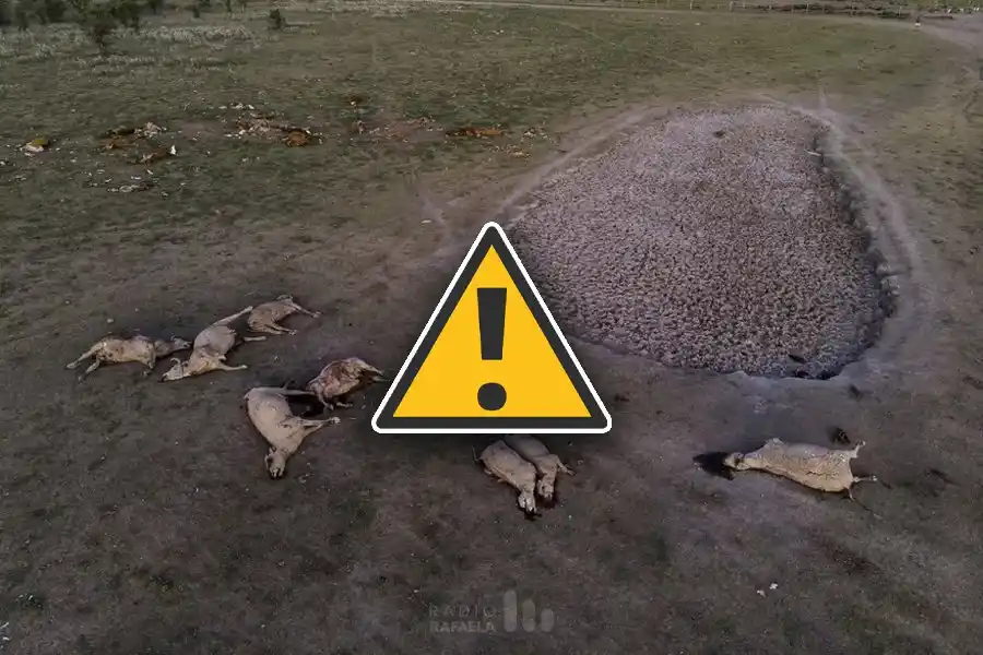 Preocupación por la sequía en toda la región: “Las perspectivas no son para nada alentadoras”