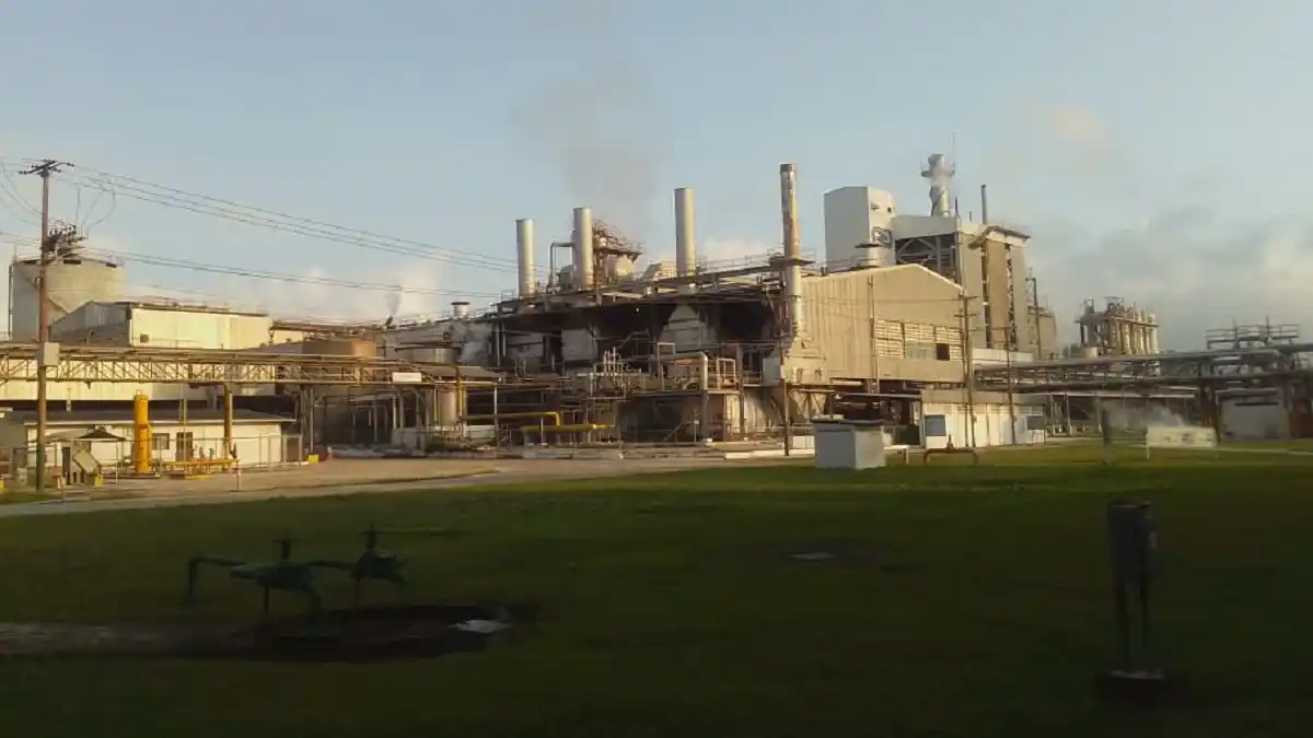 Trabajadores de Cartón de Venezuela llevan seis semanas sin recibir su salario