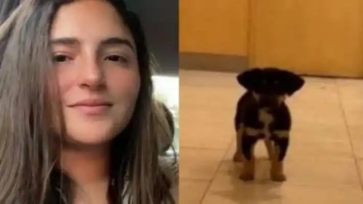 Citan a indagatoria a la mujer que le robó un perro a un indigente en Recoleta