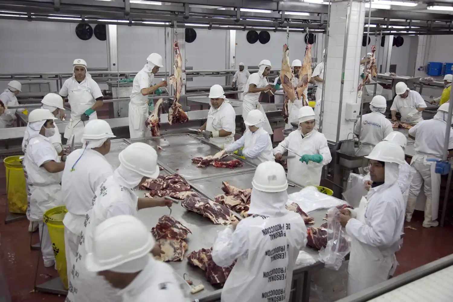 Abren el registro de frigoríficos para exportar de carne bovina a los Estados Unidos