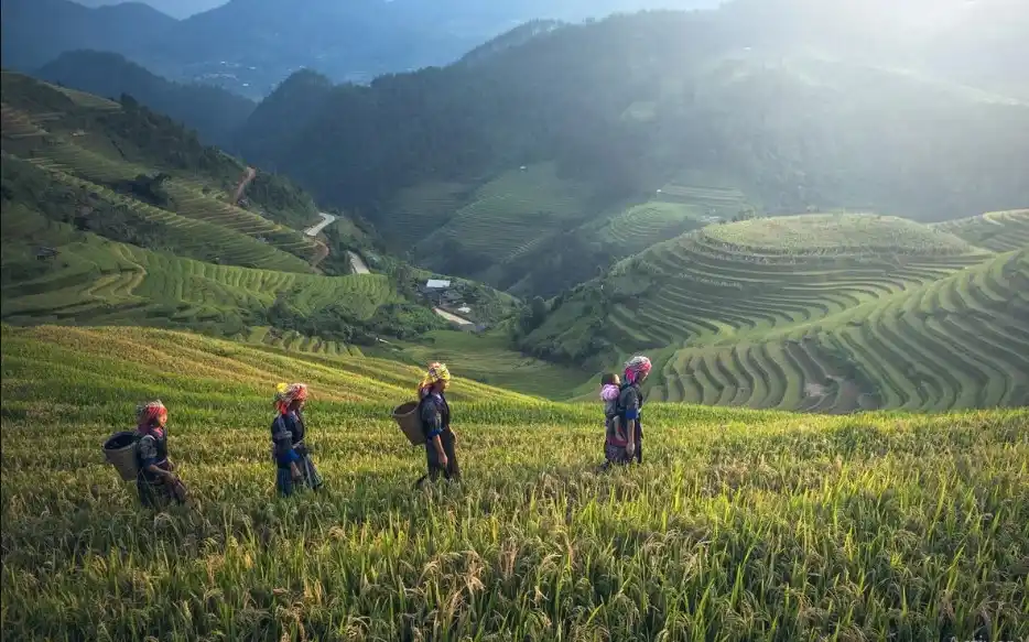 Medioambiente y género, los alcances y desafíos del Acuerdo de Escazú en materia de derechos para las mu