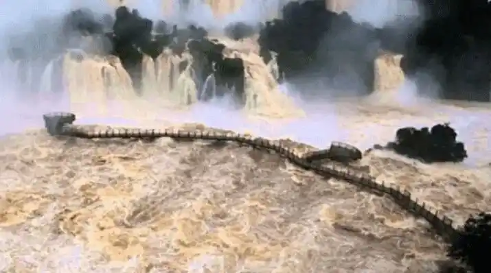 Cataratas del Iguazú: la crecida arrastró parte de la pasarela de la Garganta del Diablo