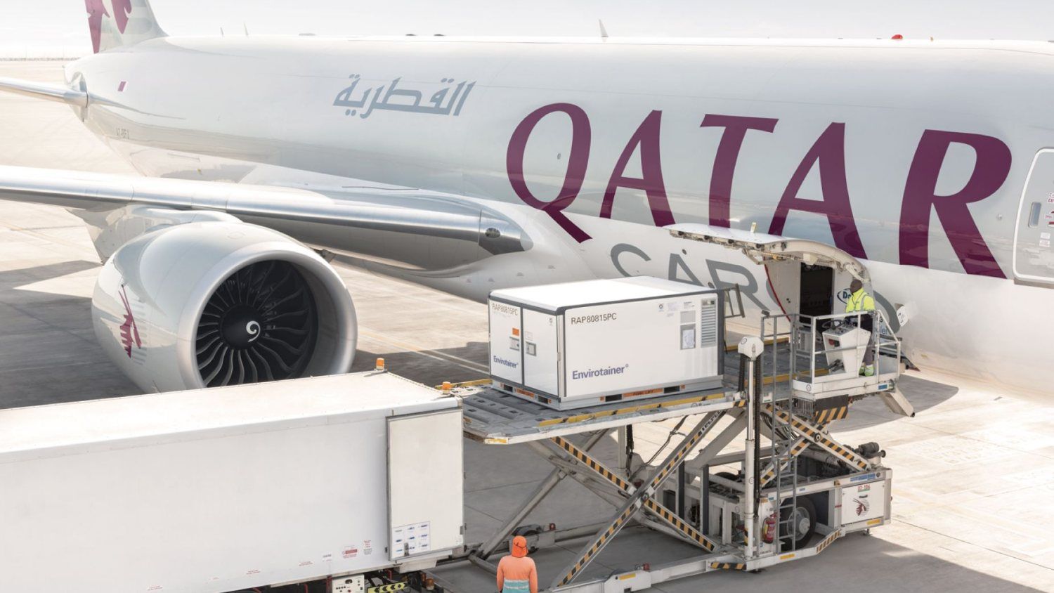 De Sudamérica y África al mundo: Qatar Airways Cargo transportó 42 millones de rosas para San Valentín