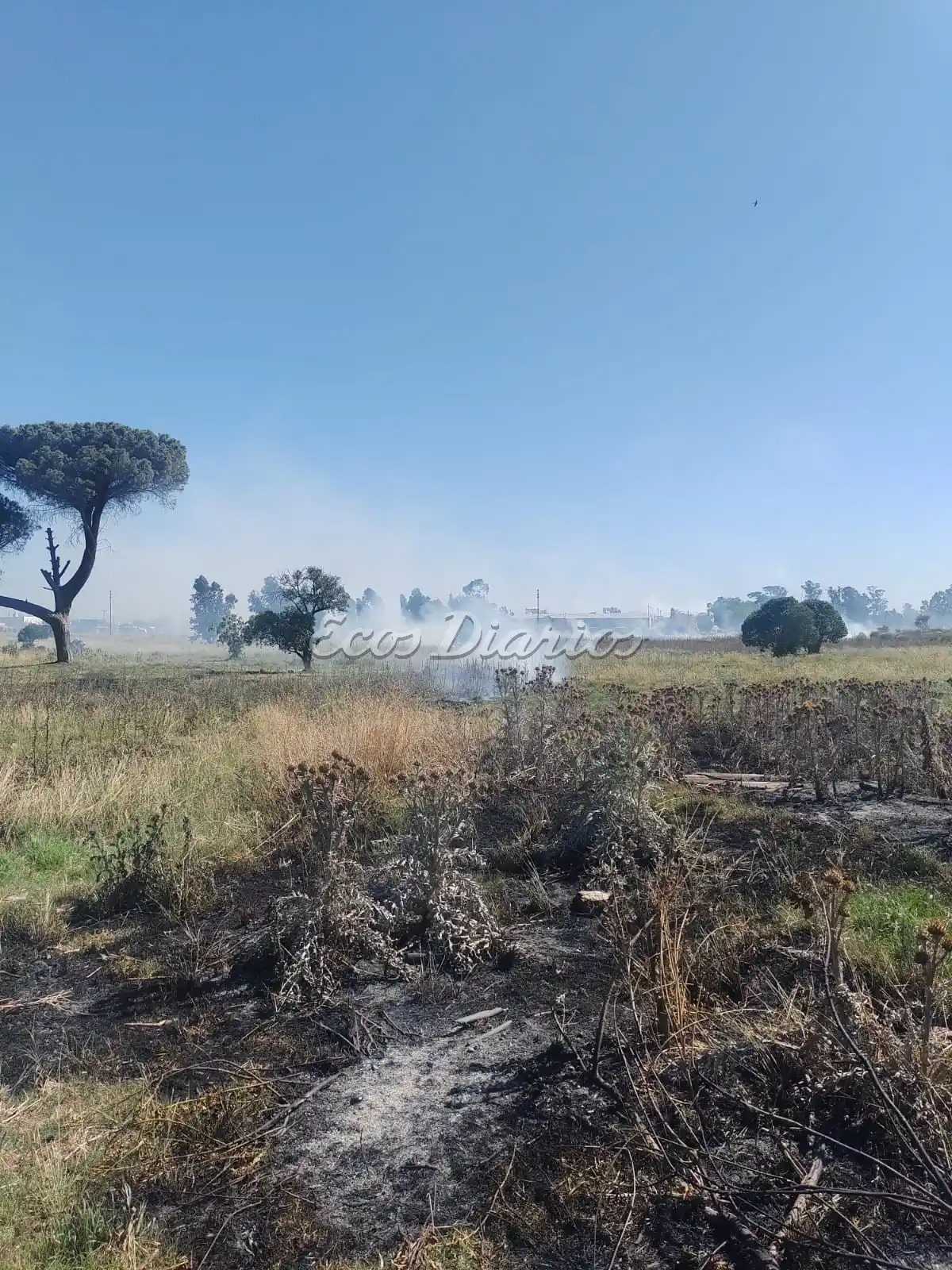 incendio pastos