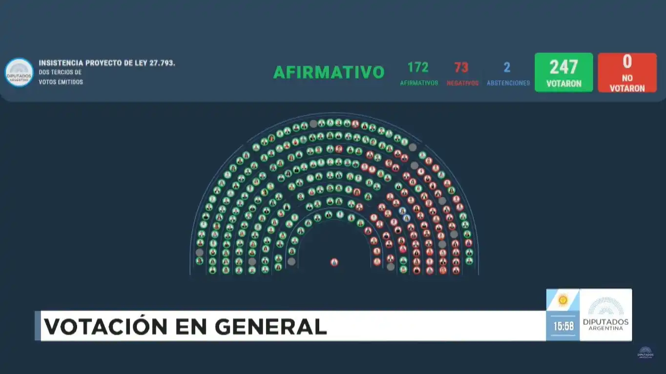 votación diputados ley de emergencia en discapacidad