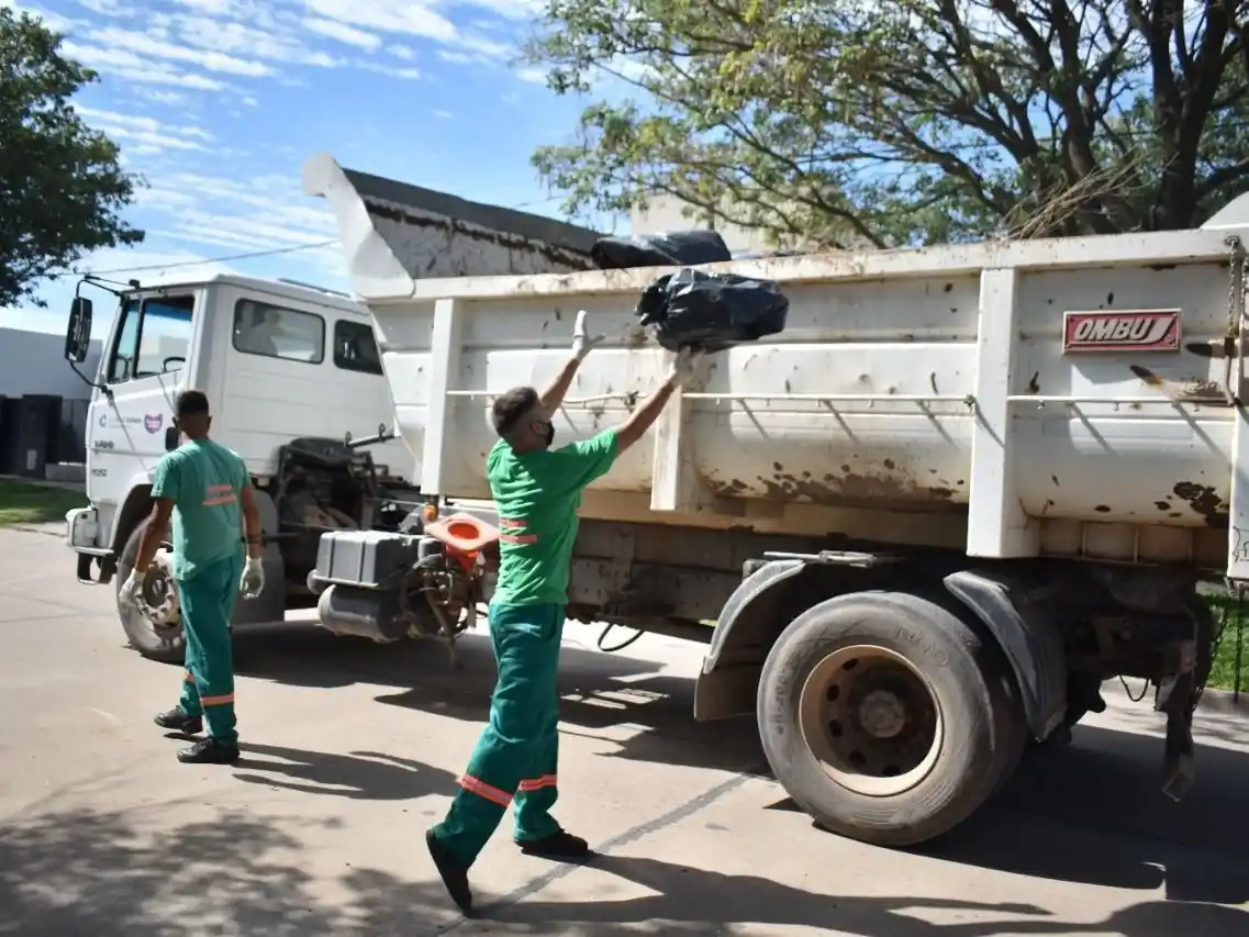 Recolección de residuos de patio en el sector 4