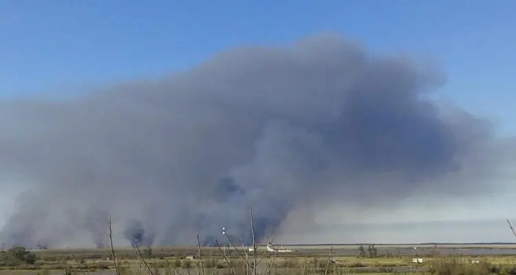 Incendios en las islas: de ayer a hoy, los focos pasaron de 5 a 90