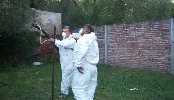 Alerta por dengue en Bragado: Fumigaron la casa de un afectado