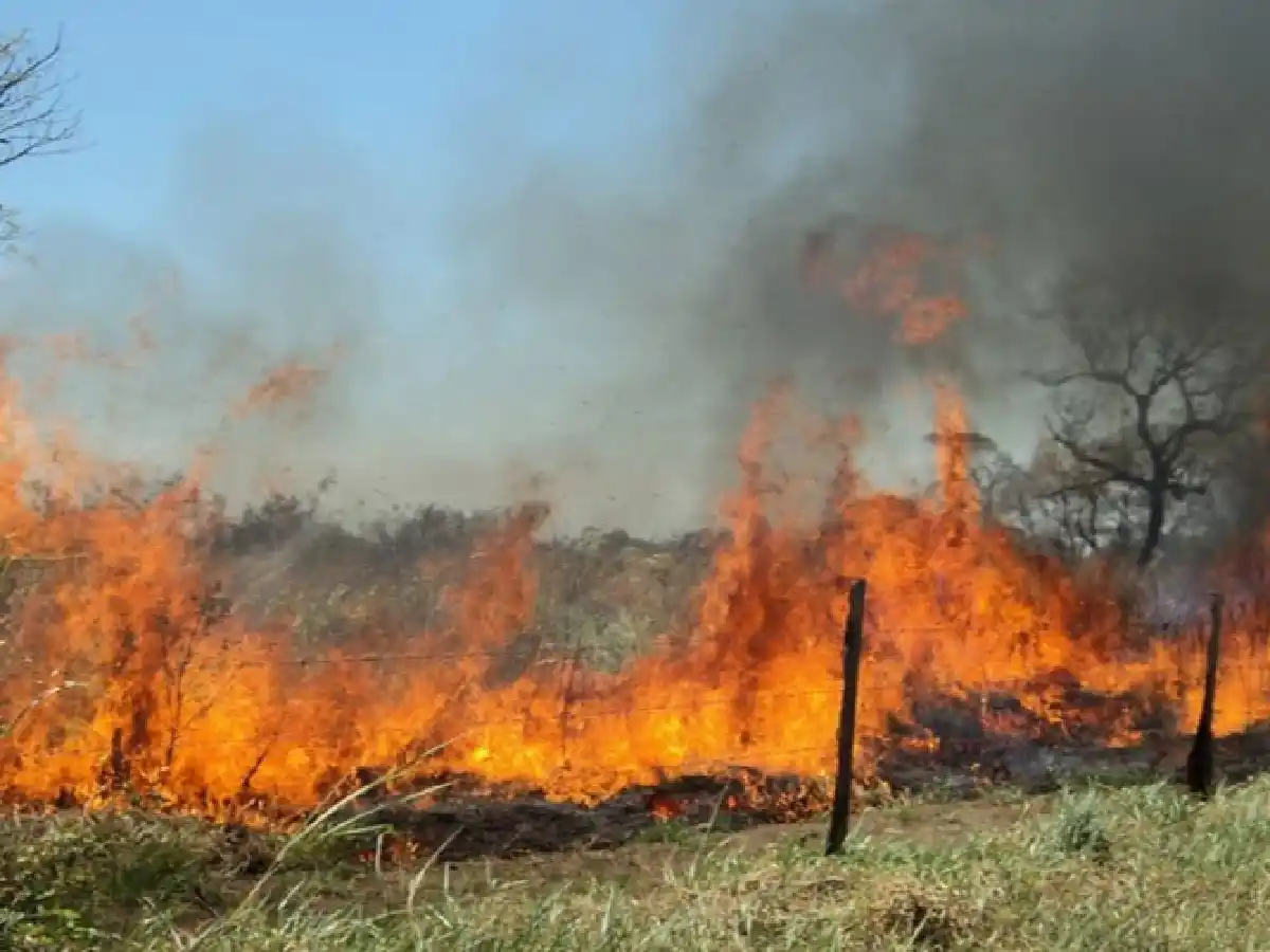 Brinkmann: mujer detenida por prender fuego en una banquina