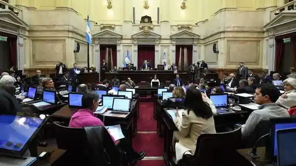 El Senado rechazó el veto a la Ley de Emergencia en Discapacidad y Milei deberá promulgar la norma