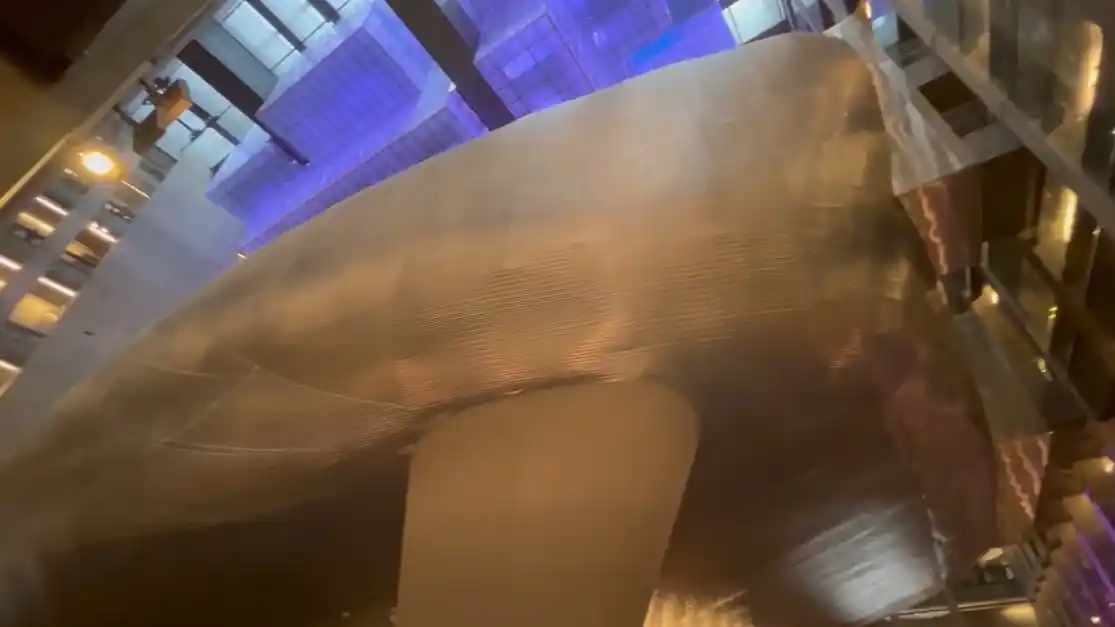 La "ballena azul" que encierra al auditorio y arriba de ella la gigantesca lámpara colgante, con actividades en su interior.