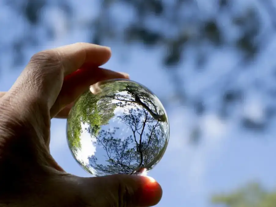 Cambio. El mundo y el desafio de adaptarse para desarrollar crecimiento.