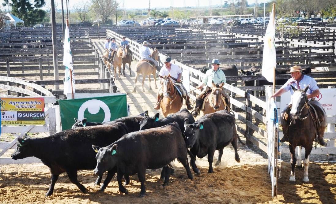 Abril mostró una débil recuperación del precio de la hacienda