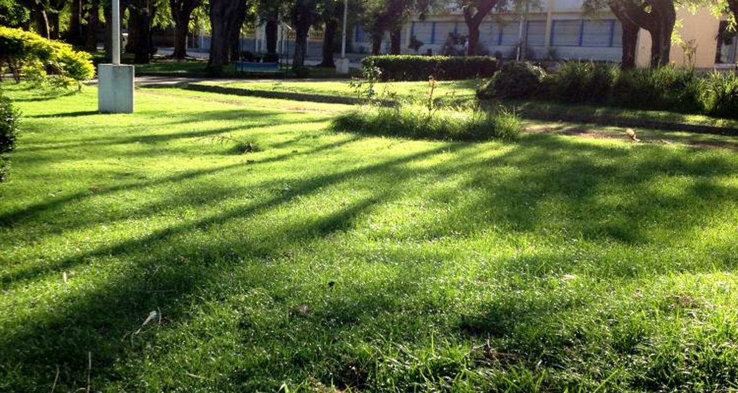 Trabajos en Plaza Constitución