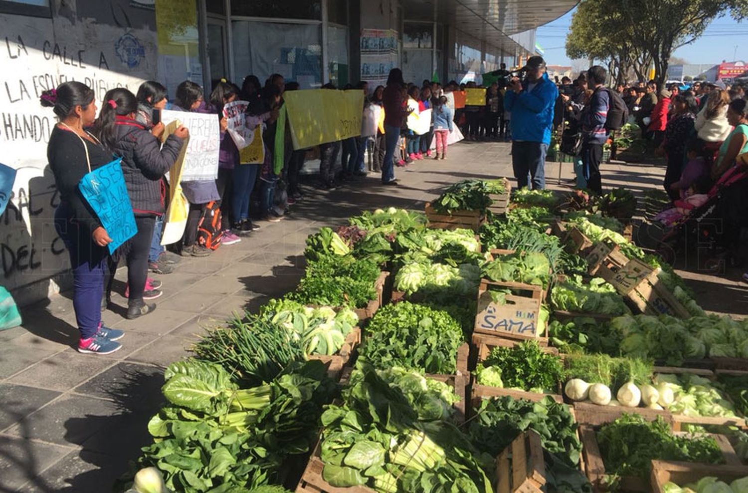 Realizan un "verdurazo" en el Consejo Escolar por falencias edilicias