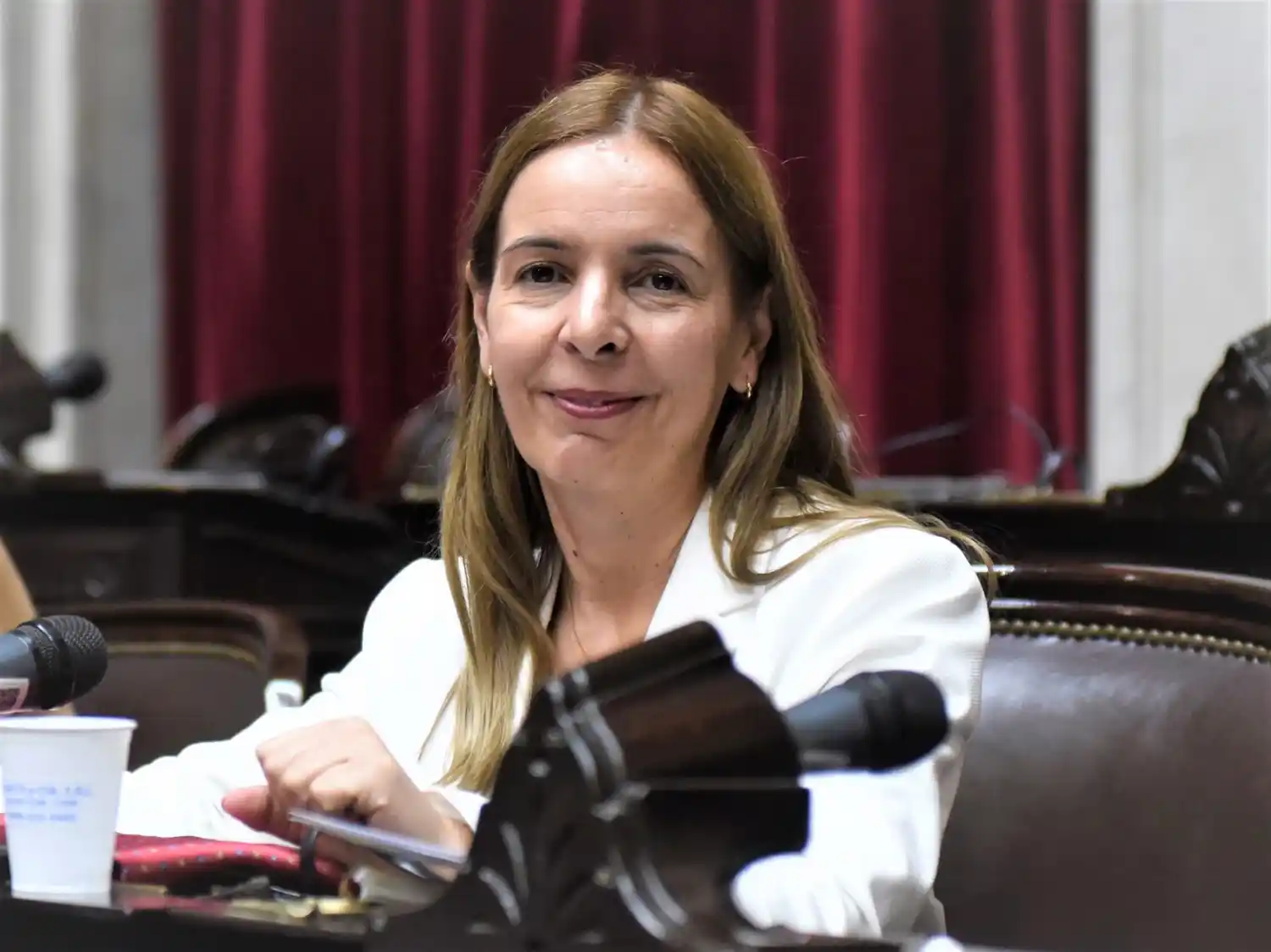 Dragado, navegabilidad del río Uruguay y nuevo puente