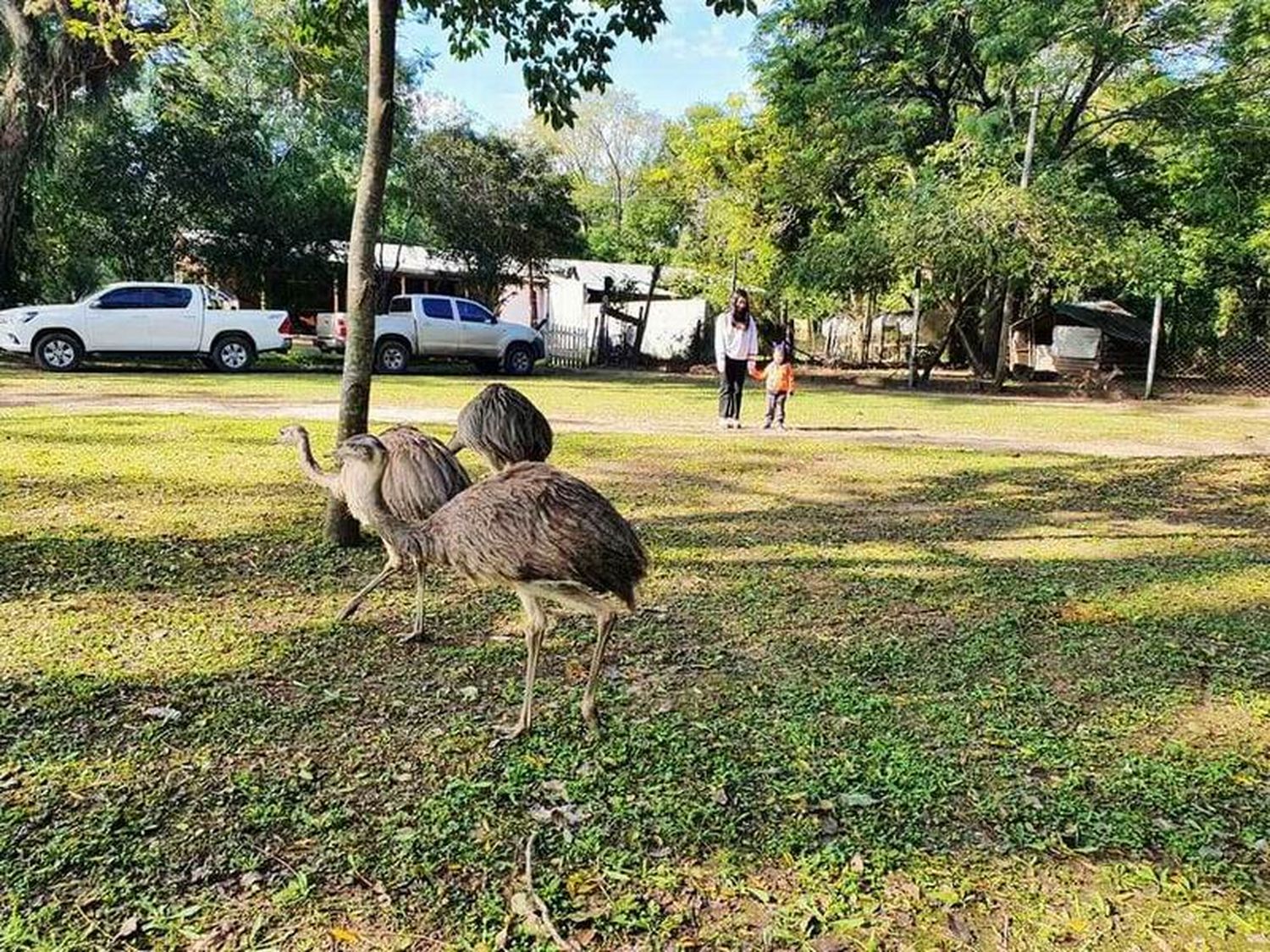 El turismo aventura a pleno este fin de semana 
también en la reserva de biosfera Laguna Oca