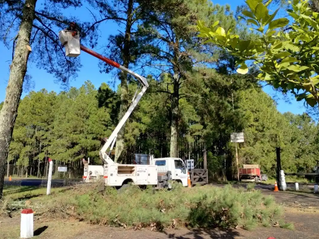 Espacios Verdes y Gendarmería Nacional realizaron trabajos en el paso fronterizo con Uruguay
