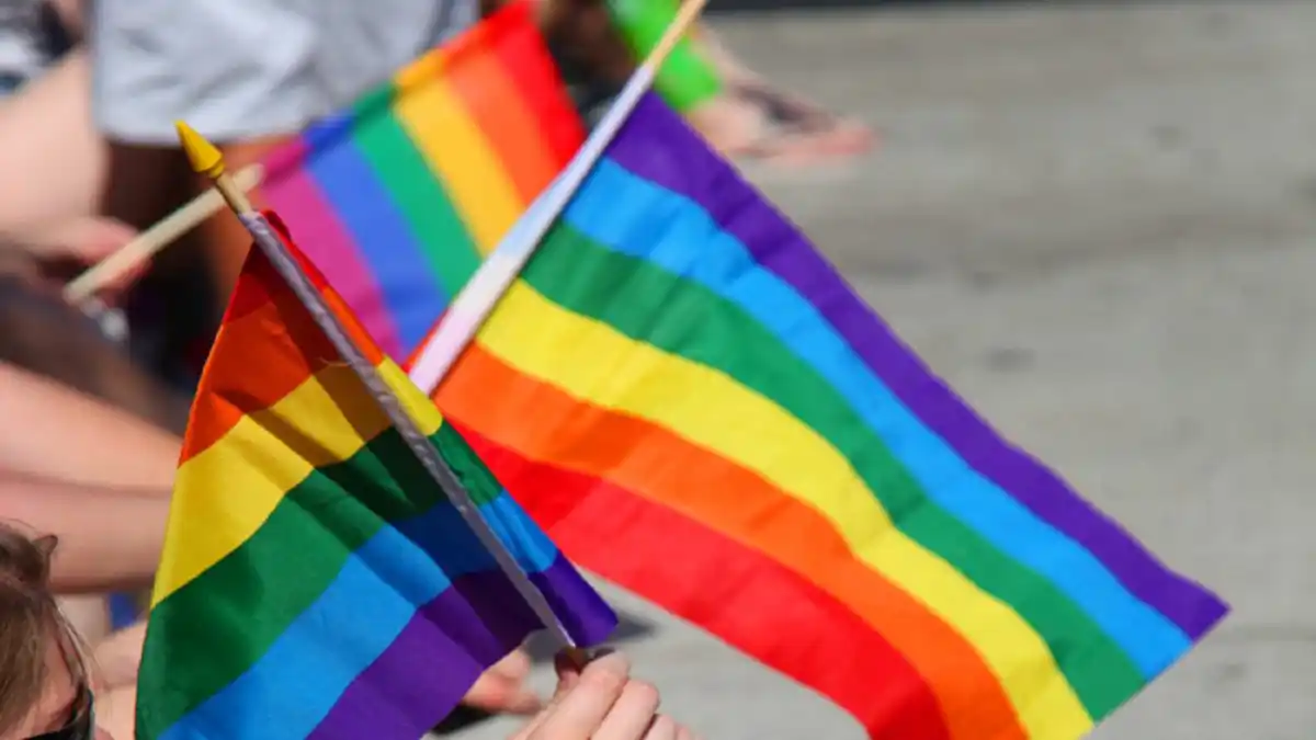 EL CASO DE LOS 33 DETENIDOS llega a la CIDH: exige al Estado no criminalizar a la comunidad LGBTI+