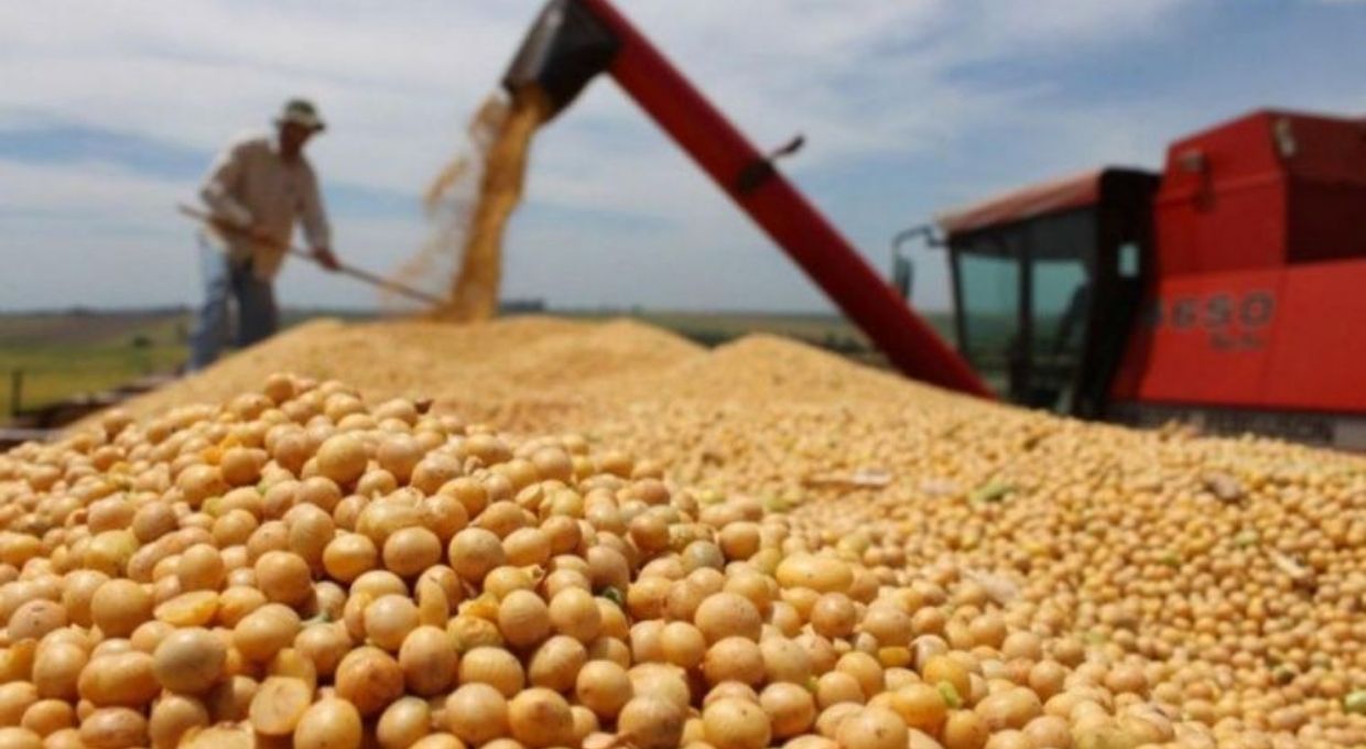 Repuntan los precios de la soja y el trigo en el Mercado de Chicago