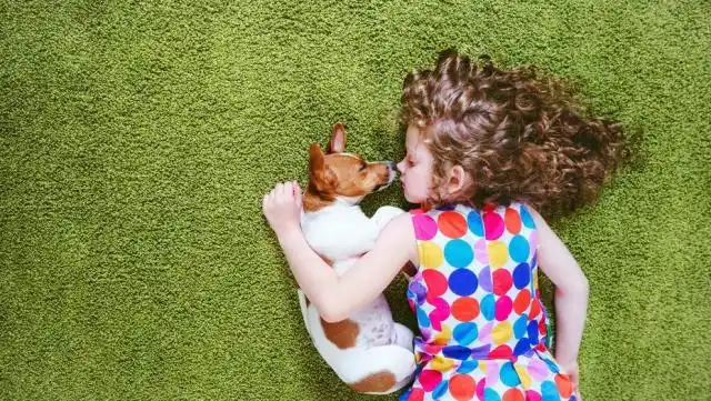 Chicos y mascotas: claves para una buena adaptación