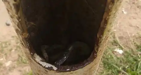 [Video] Fonavi I: Cables, agua y peligro