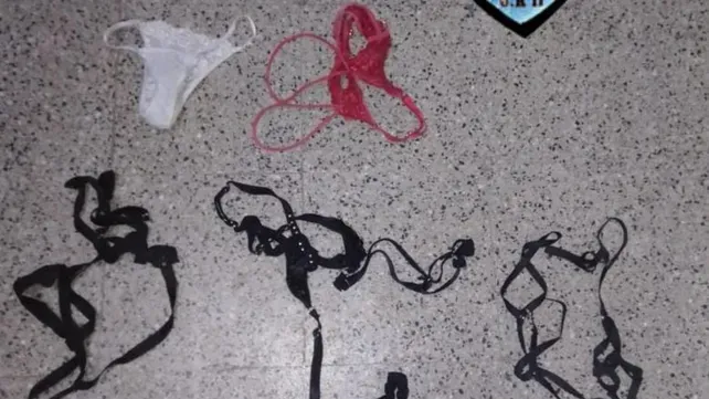 Terminó detenido por un extraño intento de robo: se llevó las tangas y arneses de su expareja