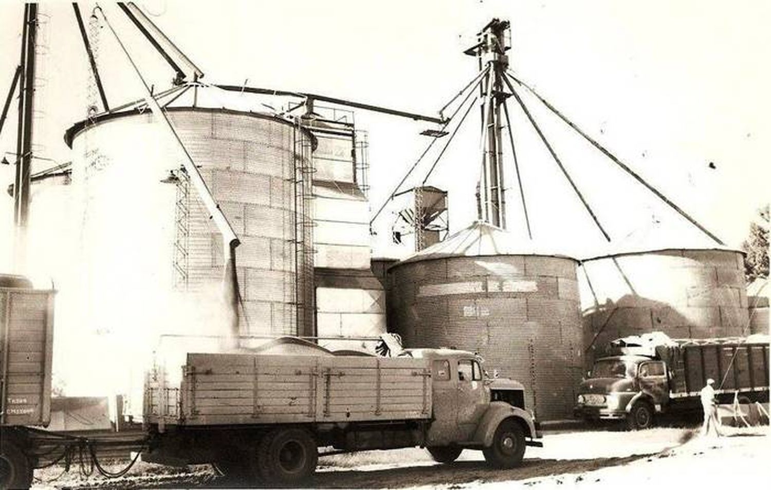 La Cooperativa Agrícola Ganadera �SLeón Sola⬝ Ltda. festeja sus primeros 70 años de vida