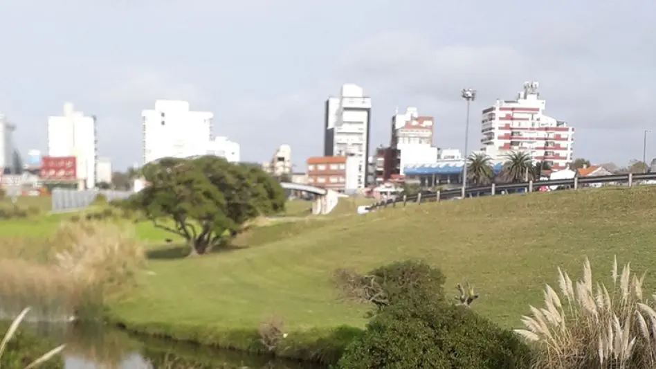 Jornada ambiental en Punta Mogotes: limpieza de la laguna y recepción de desechos tecnológicos