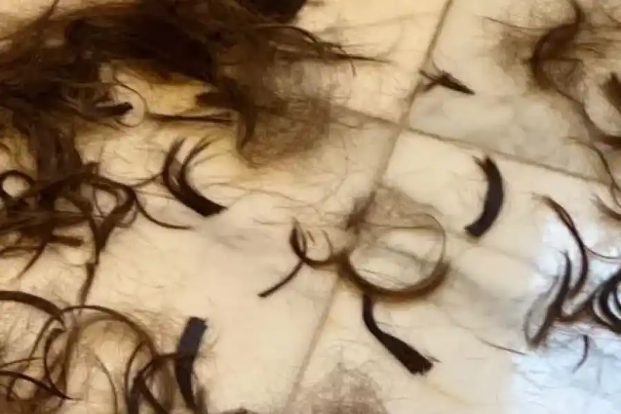 Apareció una historia en la que se observan mechones de pelo