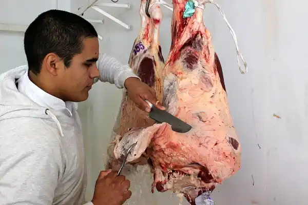 En Gualeguaychú se consume más pollo y cerdo que asado 