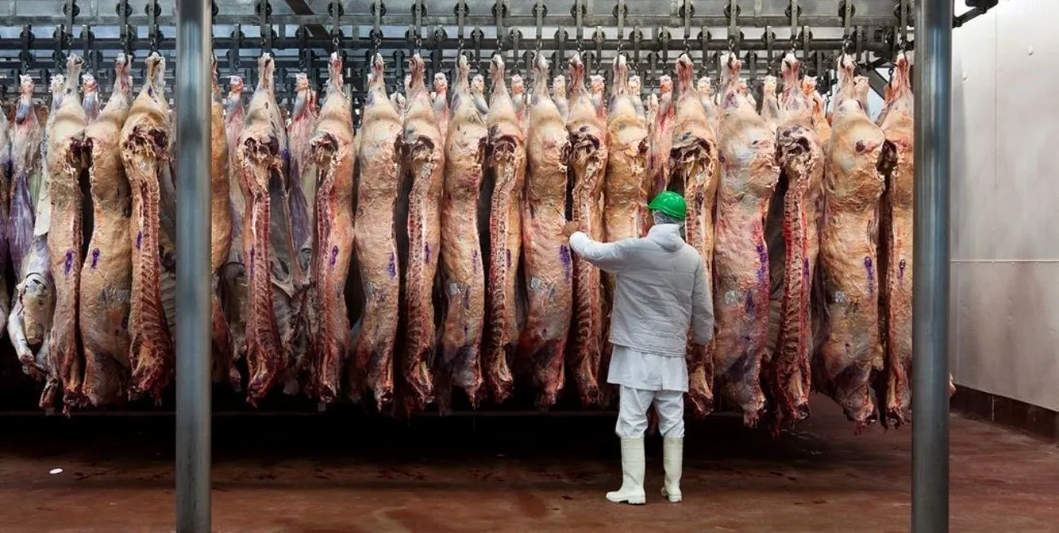 Las exportaciones crecieron 17% respecto al informe previo según datos del INDEC.