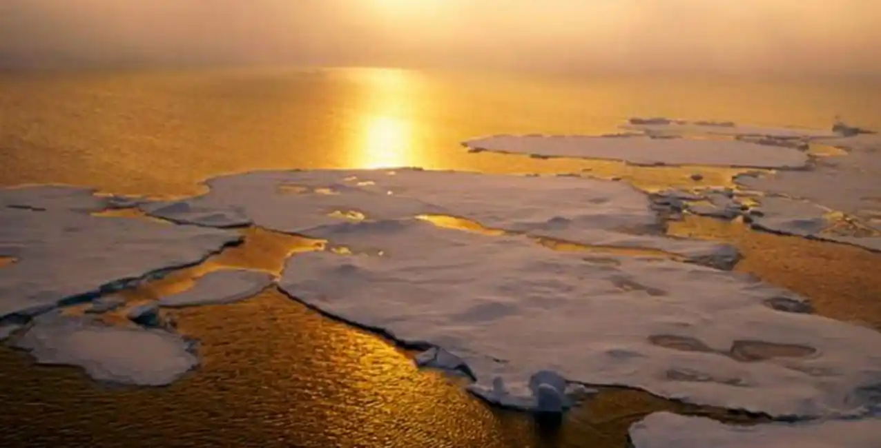 Cambio climático: científicos pidieron a la COP26 acción inmediata
