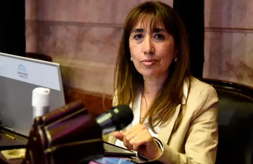 Germán Martínez pidió anular la designación de Roxana Reyes en la Magistratura: «Corresponde simplemente a embarrar la cancha»