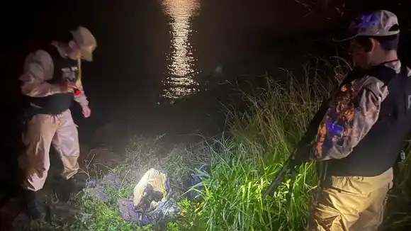 Interceptaron un cargamento de fentanilo que era contrabandeado desde Paraguay