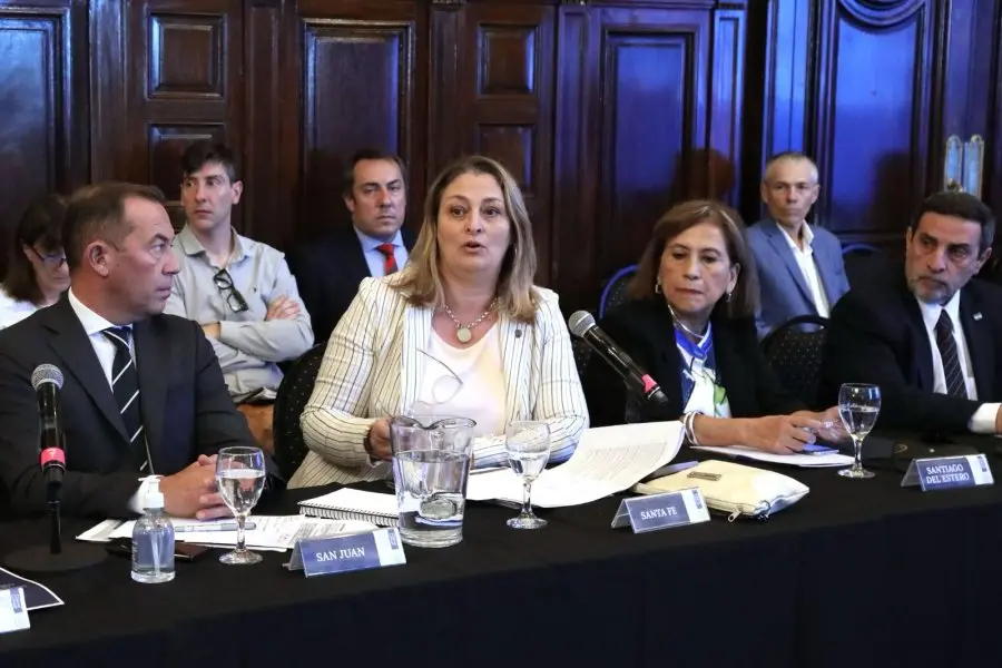 La ministra Ciancio participó del Primer Consejo Federal de Salud