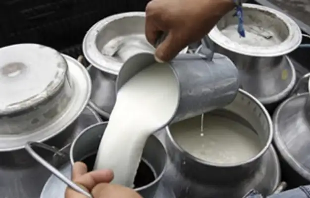Por la crisis láctea, regalarán miles de litros de leche