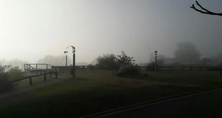 Advierten que habrá mucha niebla y que reducirá la visibilidad
