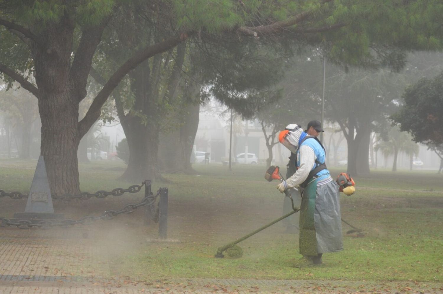 El gobierno venadense refuerza las tareas de desmalezado en plazas y paseos 