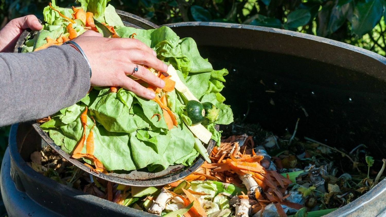Hay que acabar con el desperdicio de alimentos