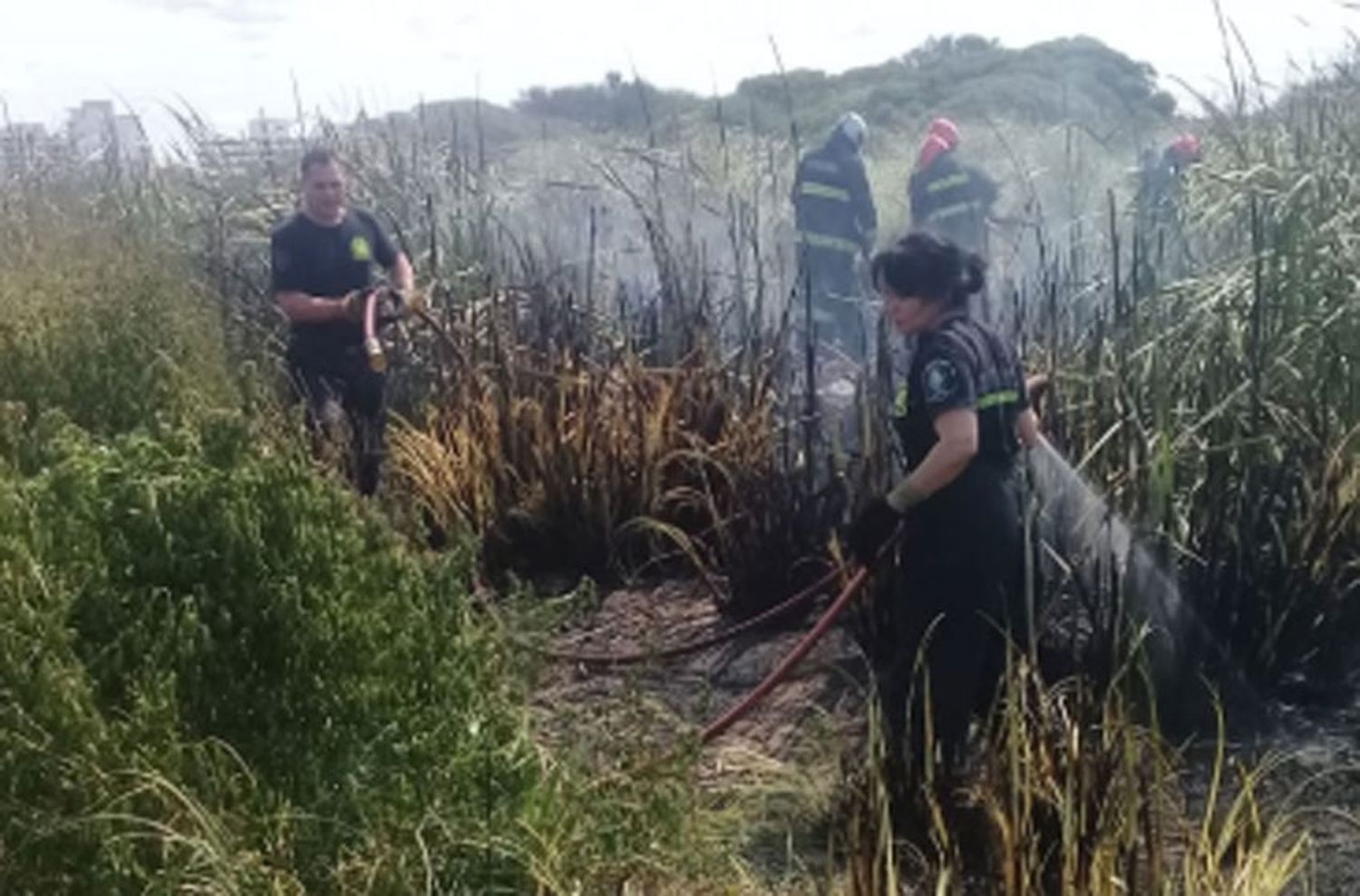 Se incendió parte de la reserva de Punta Mogotes
