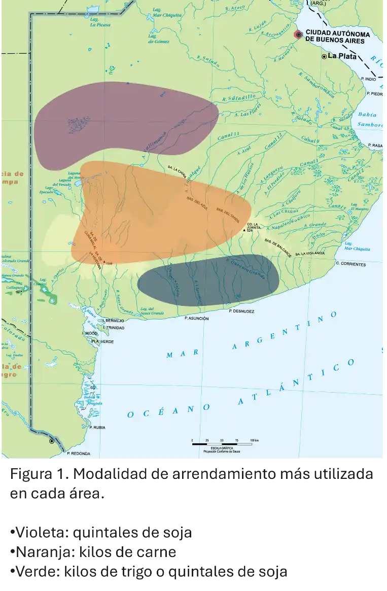 cuadro radigrafia gruesa bcp