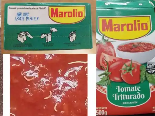 No eran gusanos, sino brotes: la Anmat retira la advertencia sobre el tomate triturado