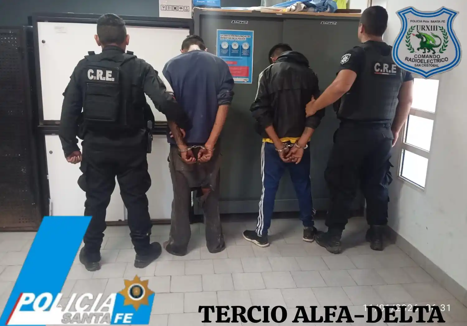 Arrojaron un porcino vivo a una casa para escapar de la policía y agredieron a los efectivos a las patadas
