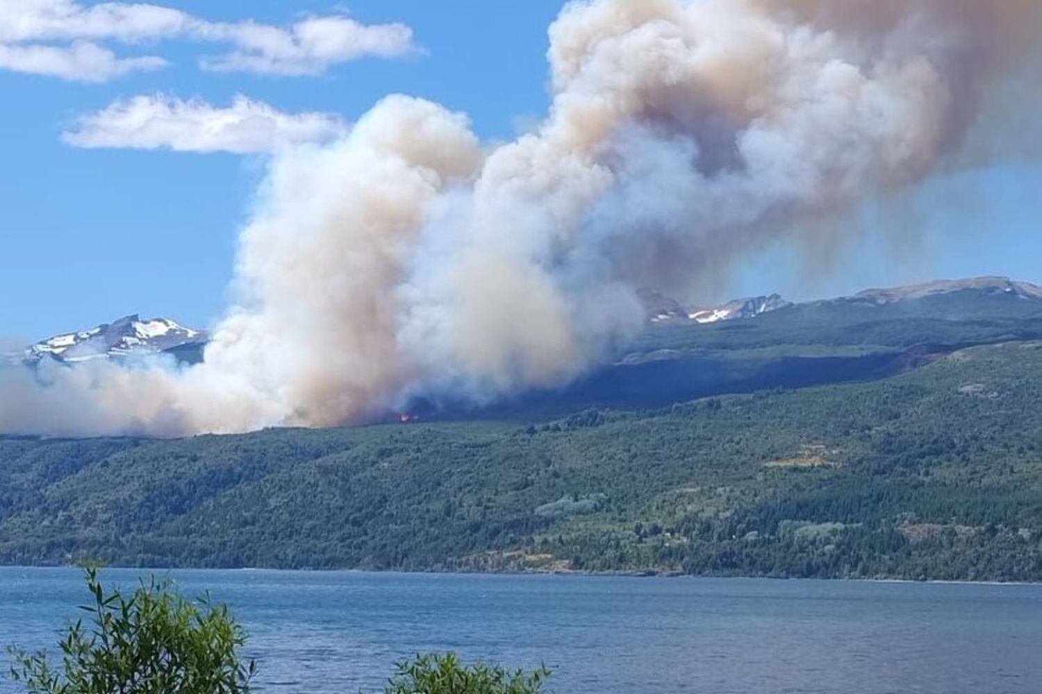 "Ninguna persona que esté viva hoy en este planeta va a ver este bosque en el estado que estaba hace una semana" aseguró el intendente del Parque Nacional