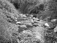 El crimen de un viajante en el arroyo “El Perdido”