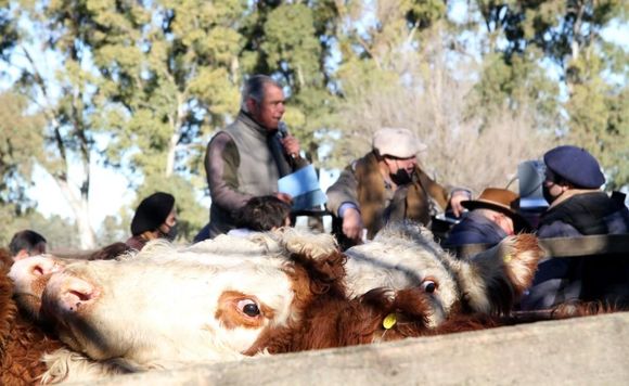 Los Arzoz mañana vuelven a la feria