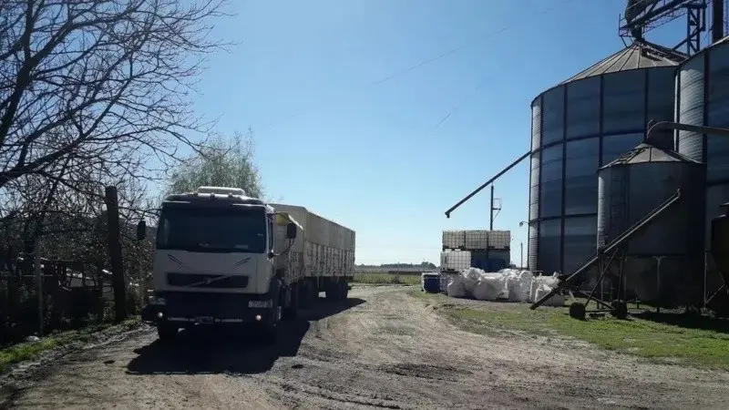 Tragedia laboral en Pergamino: un operario de 18 años murió aplastado por semillas