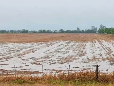 Zona núcleo con lluvias por arriba de los promedios históricos en julio/agosto